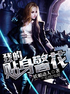 我的贴身警花