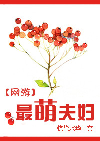 网游之最萌夫妇